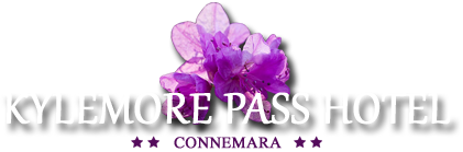 Logo for Kylemore Pass Hotel
